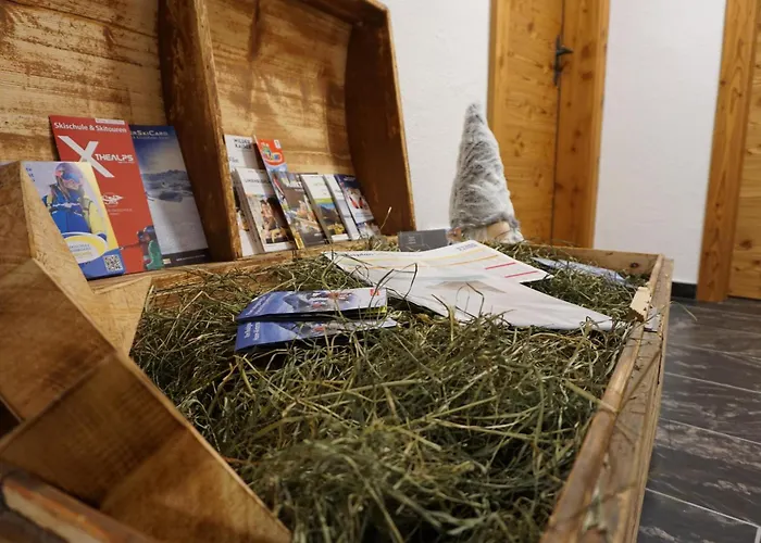 Edinger Διαμέρισμα Söll