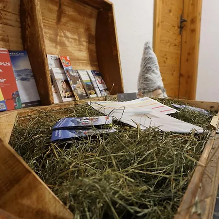 Edinger Lejlighed Söll